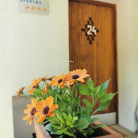 Apartma Rekar - A House, Where You Can Relax In The Embrace Of Nature Jesenice Zewnętrze zdjęcie
