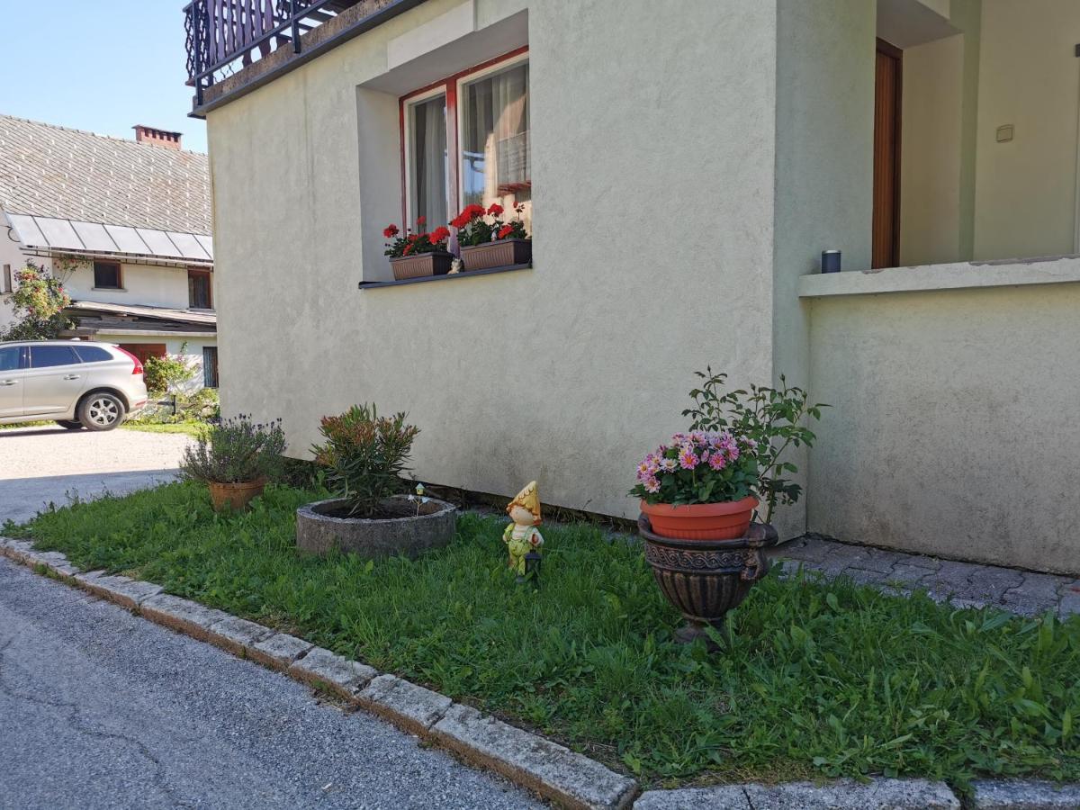 Apartma Rekar - A House, Where You Can Relax In The Embrace Of Nature Jesenice Zewnętrze zdjęcie