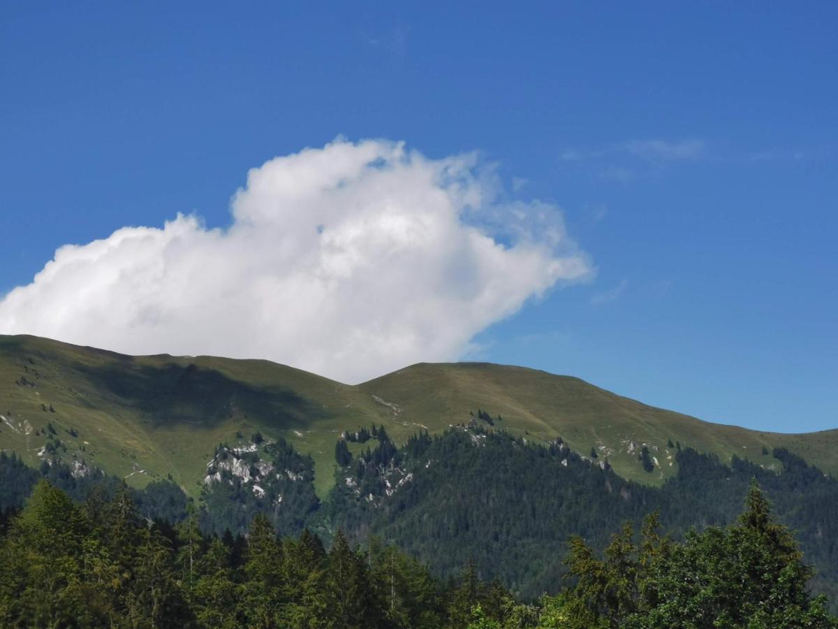 Apartma Rekar - A House, Where You Can Relax In The Embrace Of Nature Jesenice Zewnętrze zdjęcie