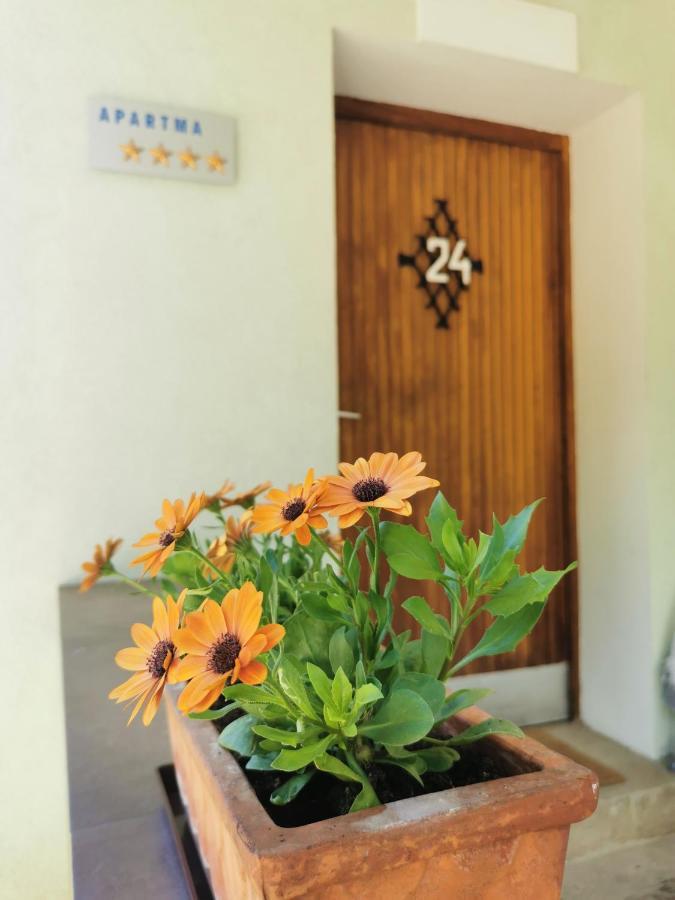 Apartma Rekar - A House, Where You Can Relax In The Embrace Of Nature Jesenice Zewnętrze zdjęcie